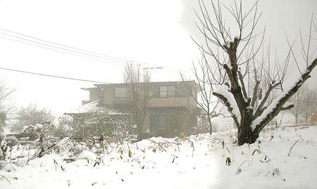 200701yukikeshiki2.jpg