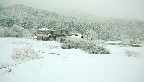 20090110yukikeshiki8.jpg