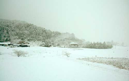 yukikeshiki3_20090110.jpg