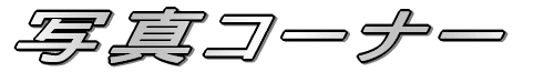 �ʐ^�R�[�i�[ 