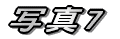 �ʐ^5 