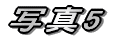 �ʐ^5 